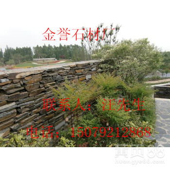 1455026295030130600-3.jpg