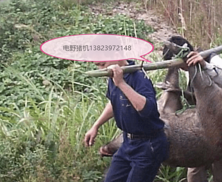 野猪机i_看图王.png