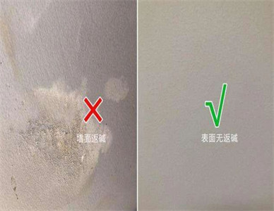 微信截图_20240311171652.jpg