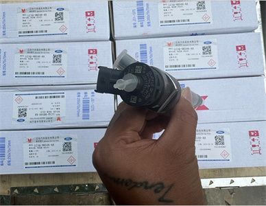 江铃4D20A6L 喷油器总成.jpg