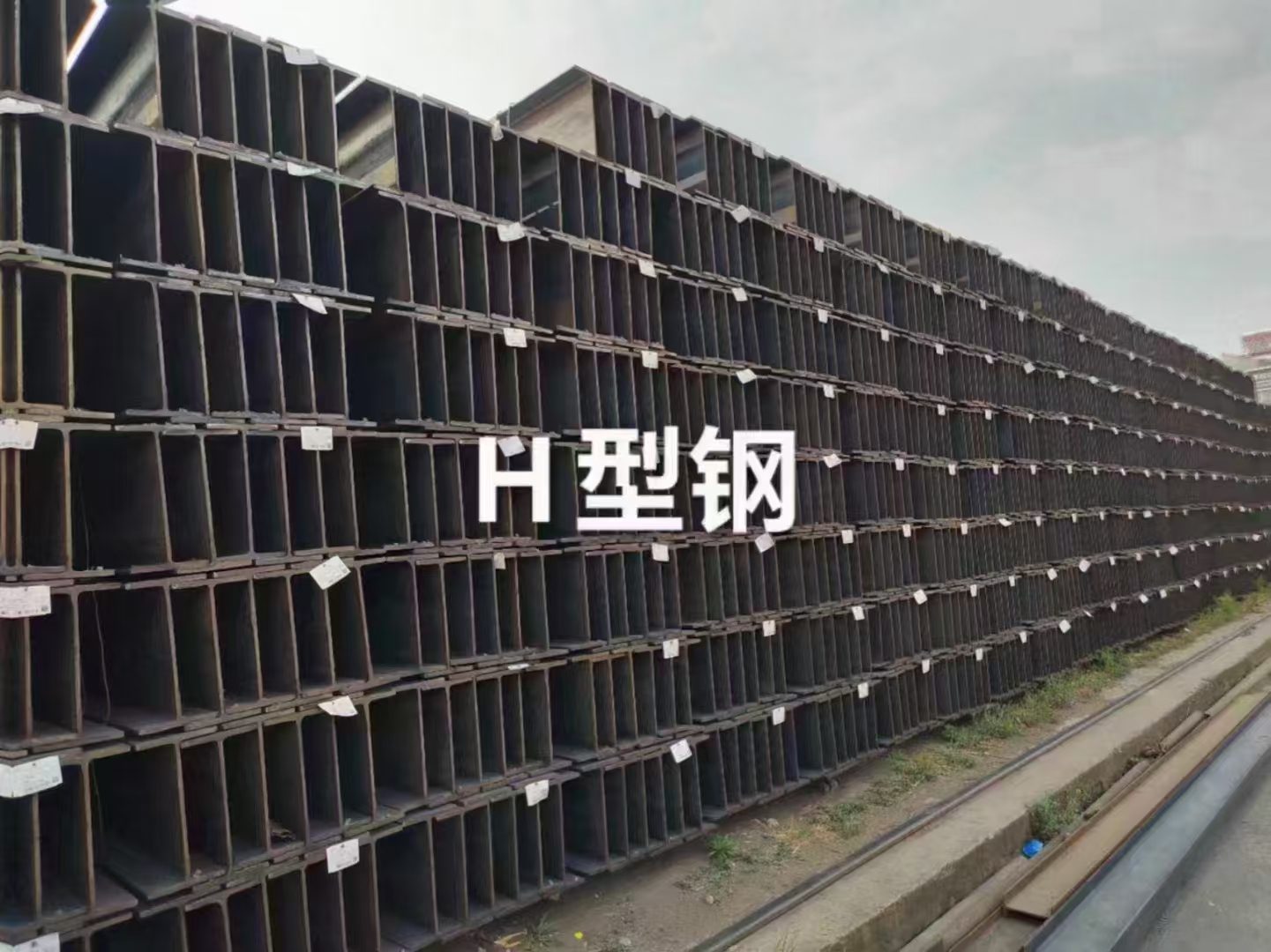 微信图片_202411180919003.jpg