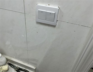 1732585032066.jpg