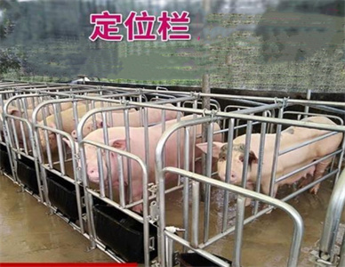 限位栏3.jpg