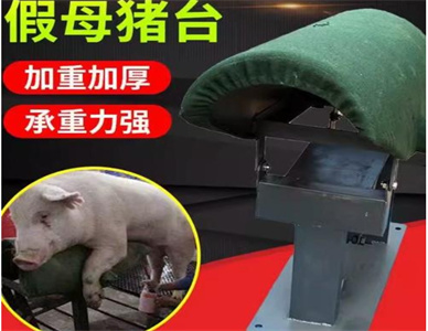 猪人工授精设备.jpg