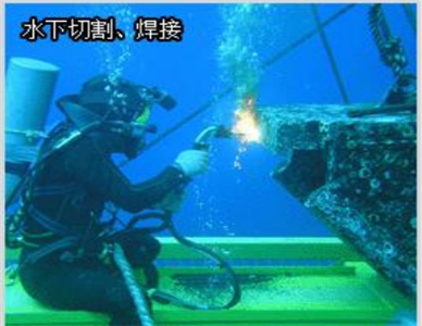QQ20241209-194828.jpg