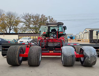 1763437539678057.jpg 1.jpg