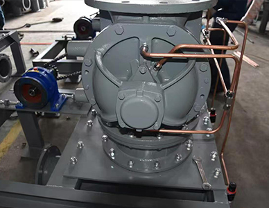 1764816525335873.jpg 26.jpg