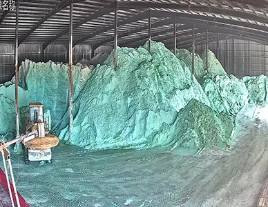 1767492965100832.jpg 9.jpg