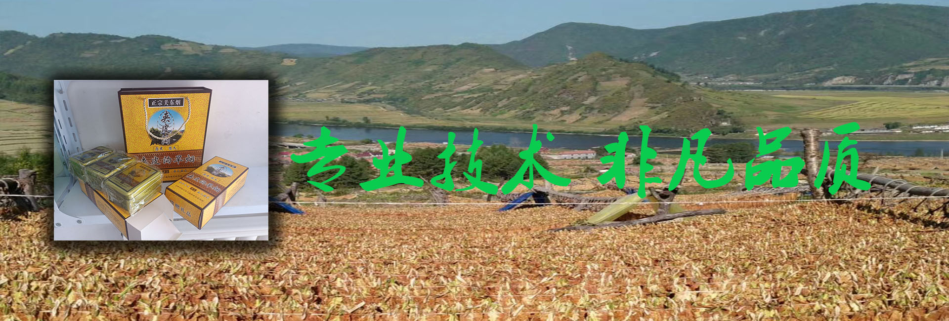 轮播图3.jpg